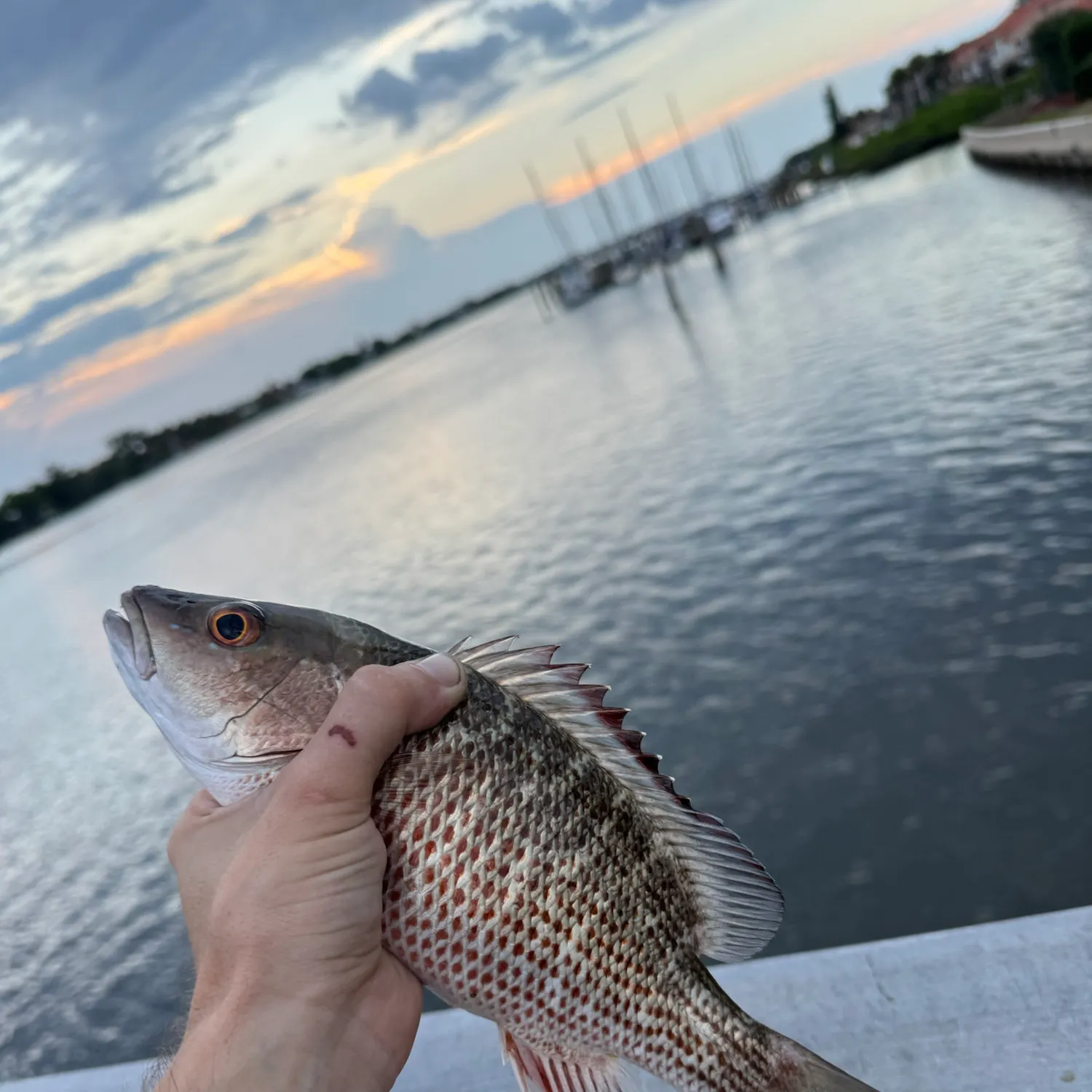 catch