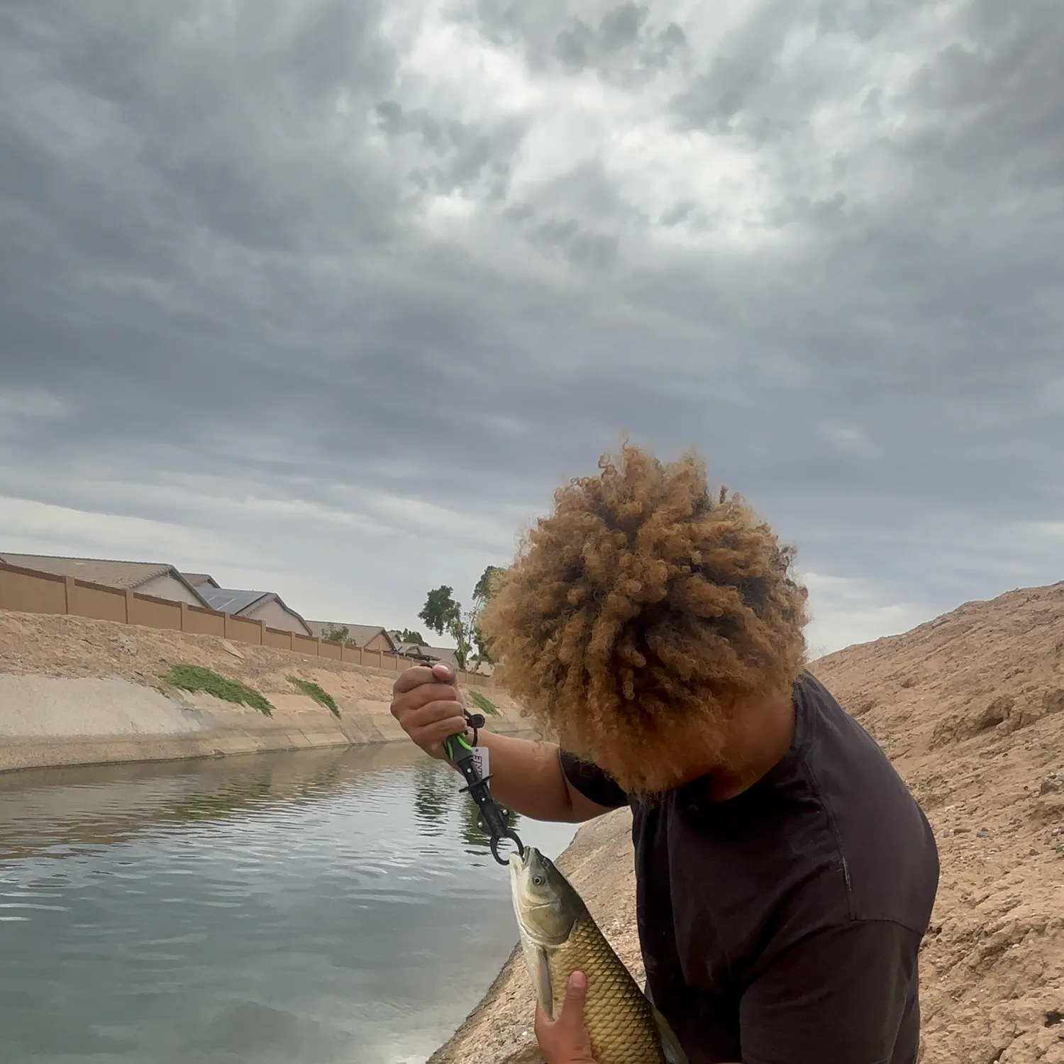 The most recent Grass carp catches on Fishbrain