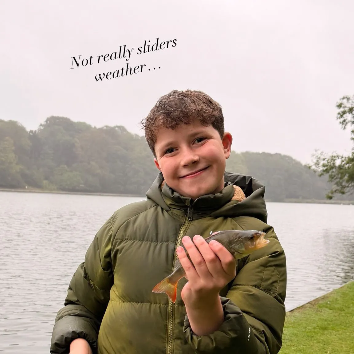 European perch caught on Fishbrain