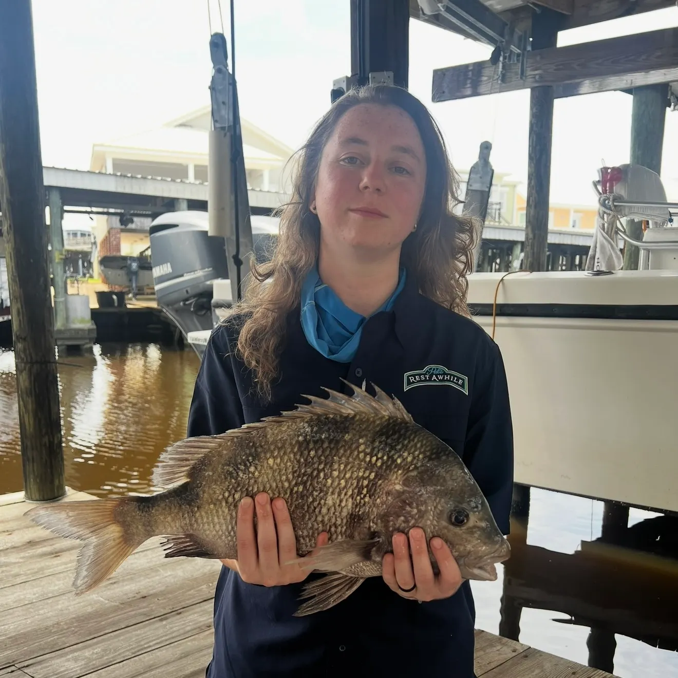 The most recent Sheepshead catches on Fishbrain