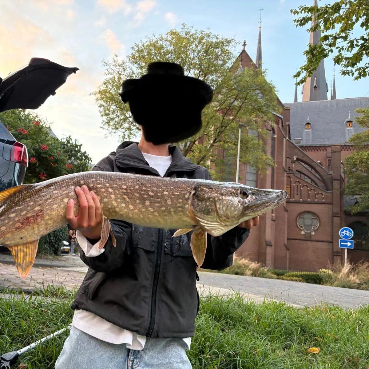 Northern pike caught on Fishbrain