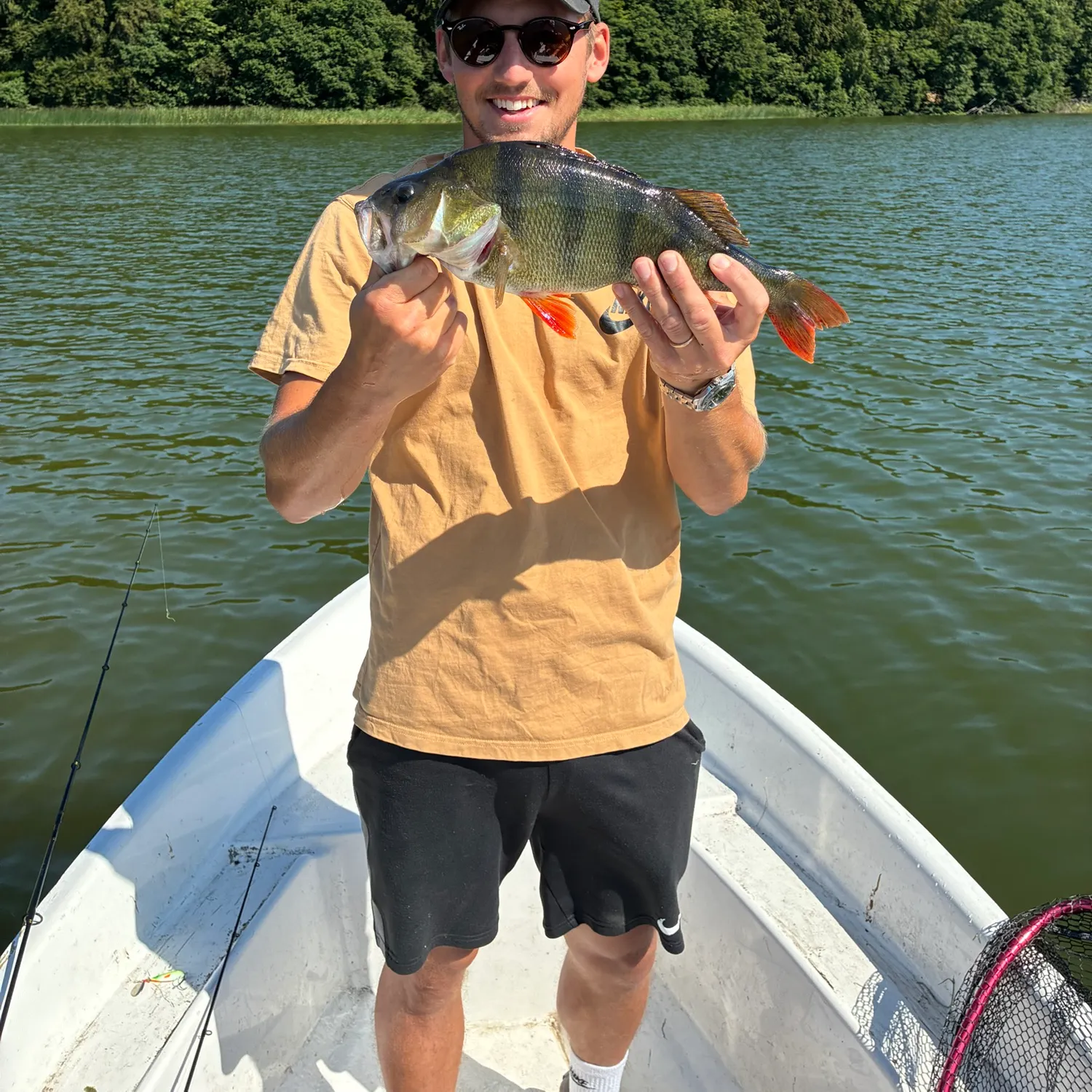 European perch caught on Fishbrain