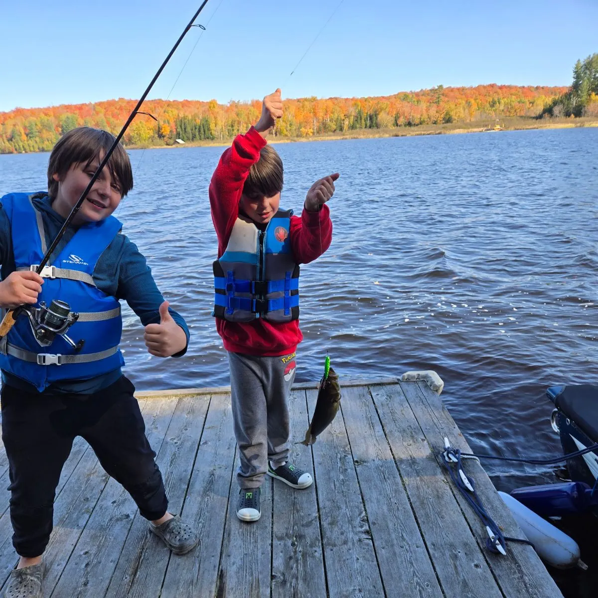 The most recent Largemouth bass catches on Fishbrain