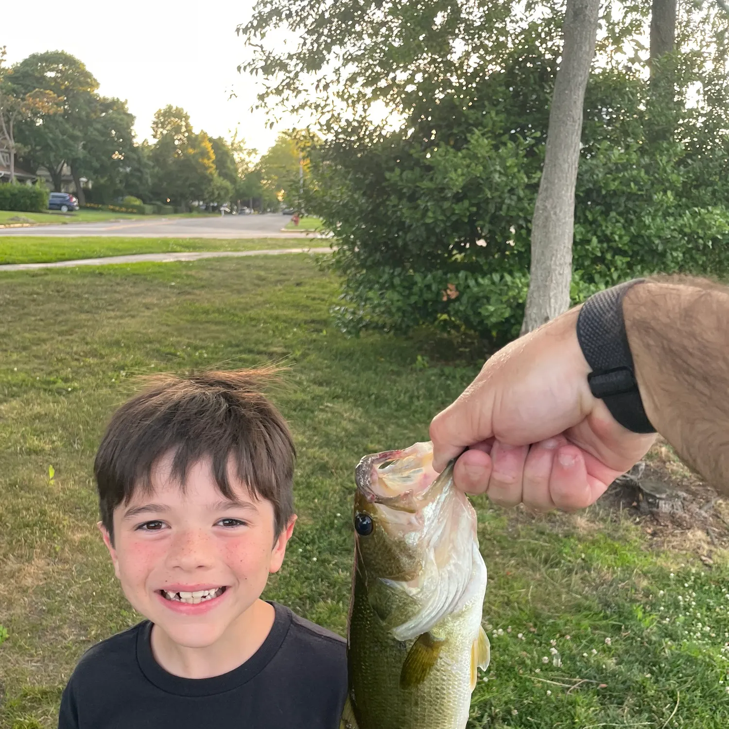catch