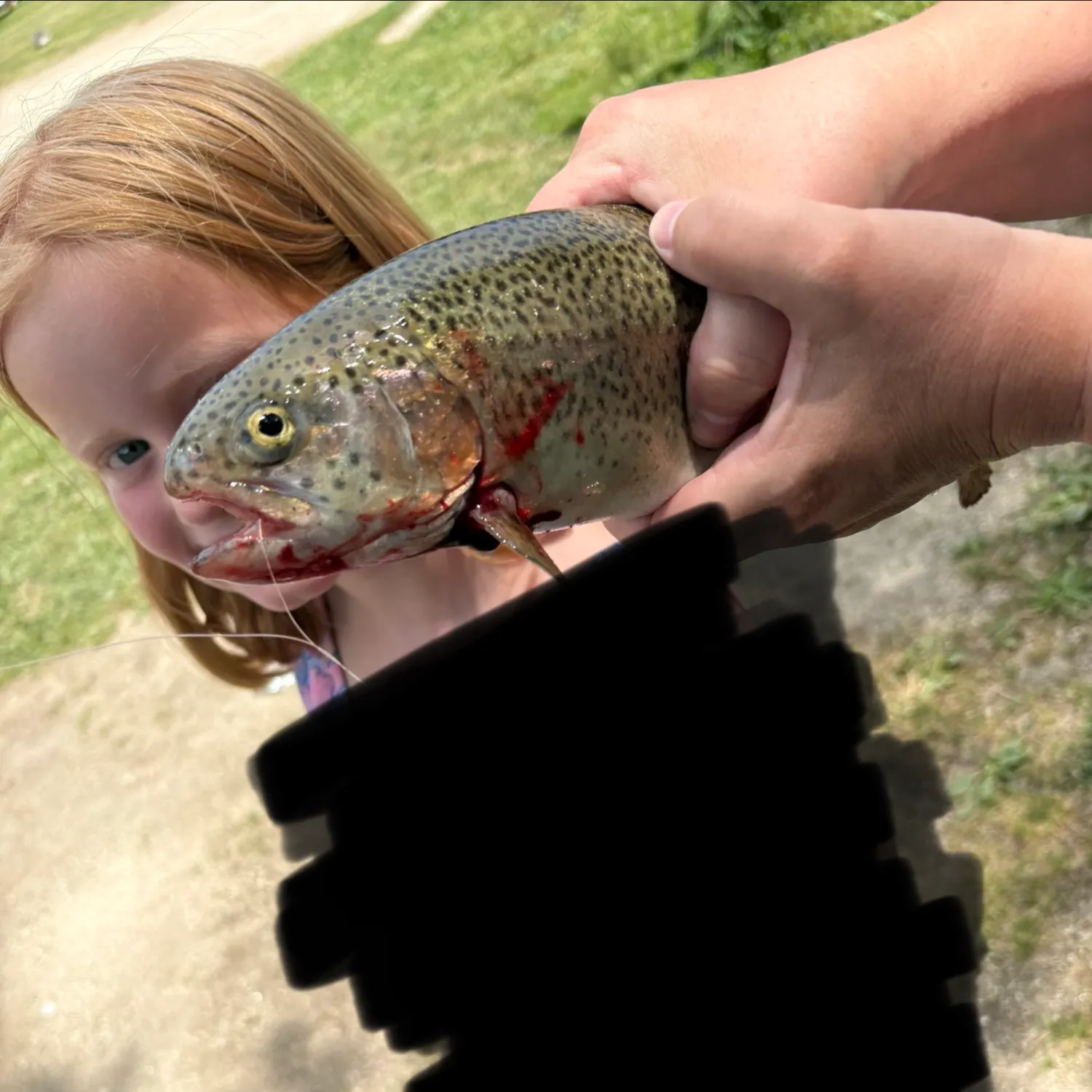 Rainbow trout caught on Fishbrain