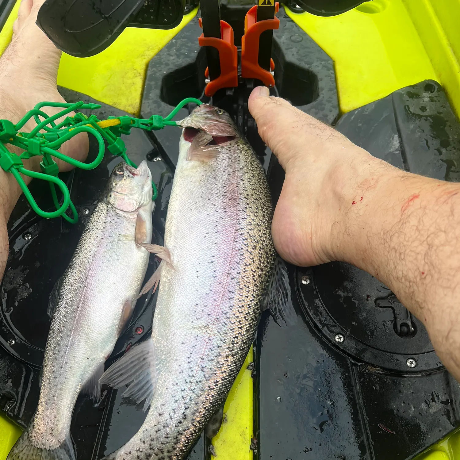 recently logged catches