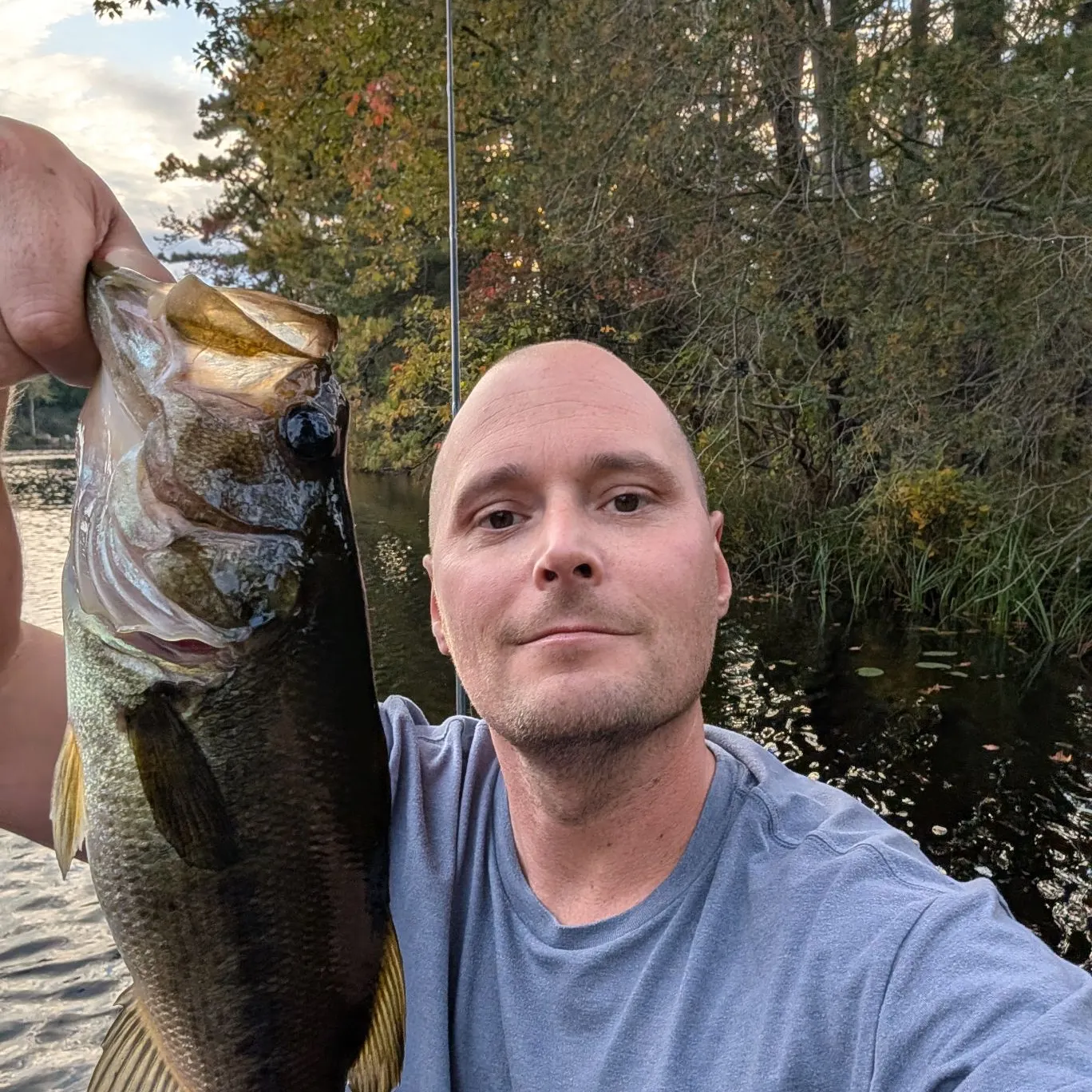 Largemouth bass caught on Fishbrain