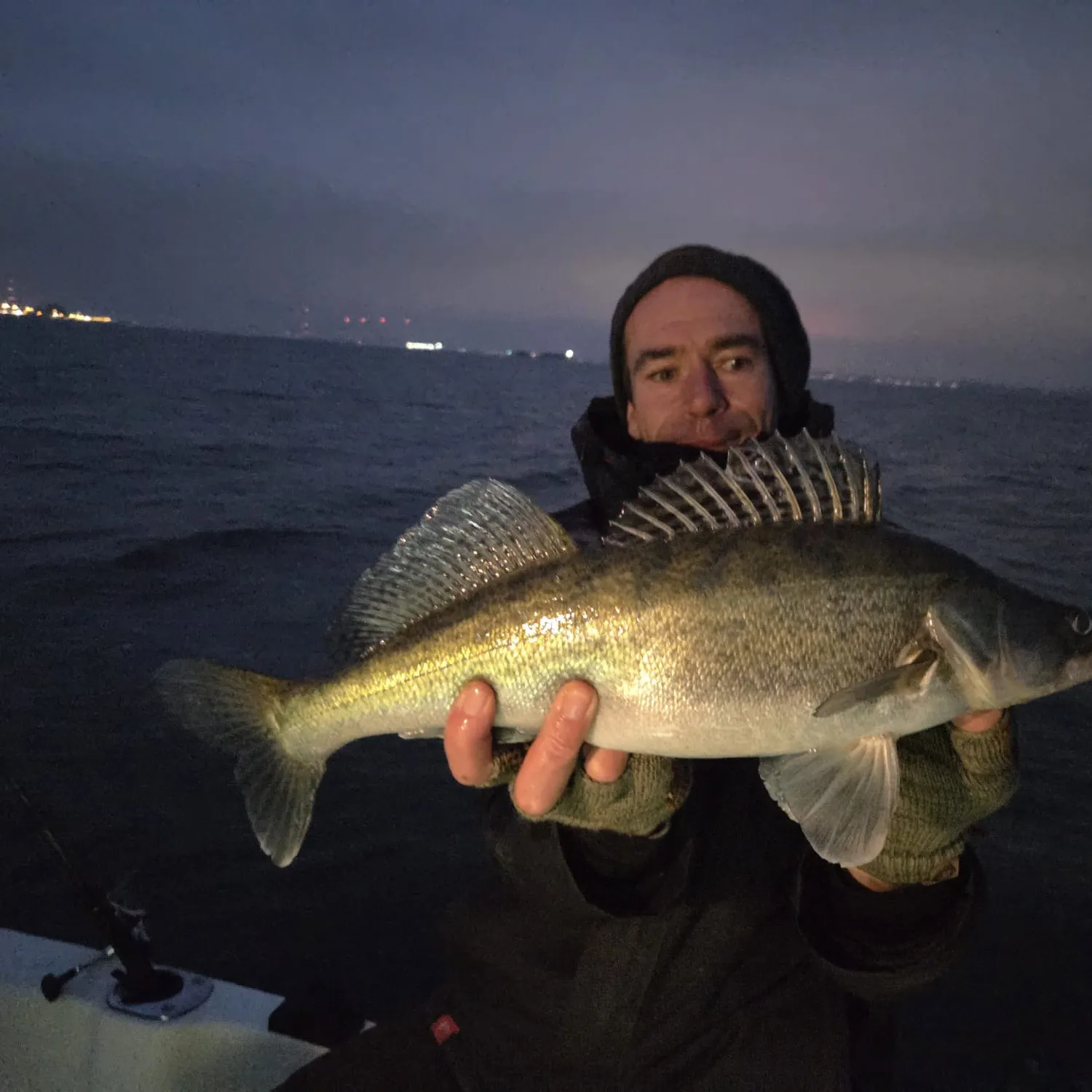 The most recent Zander catches on Fishbrain