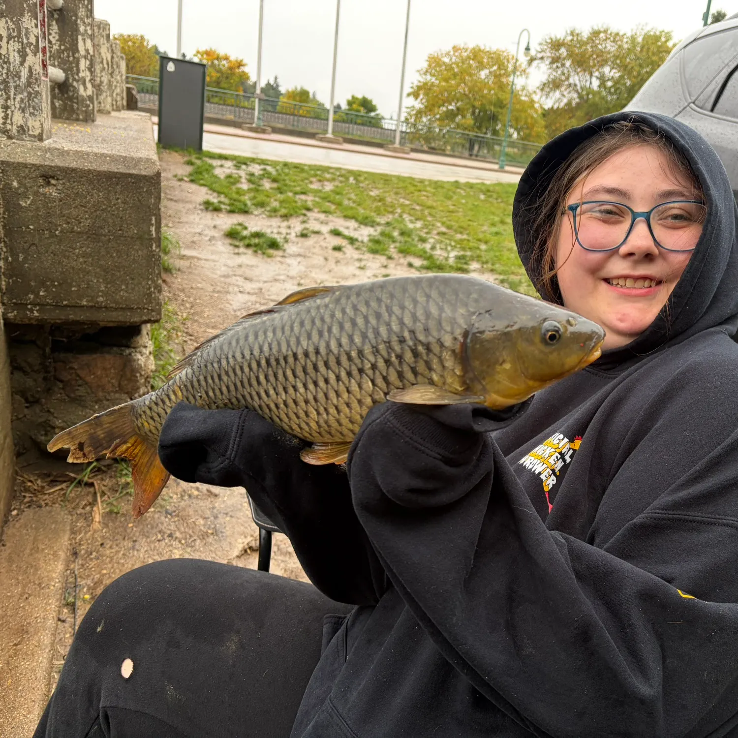 Common carp caught on Fishbrain