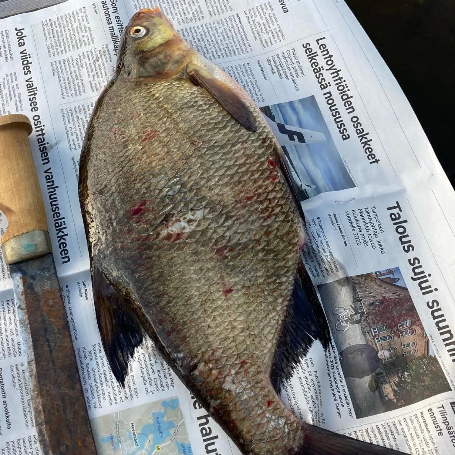 recently logged catches
