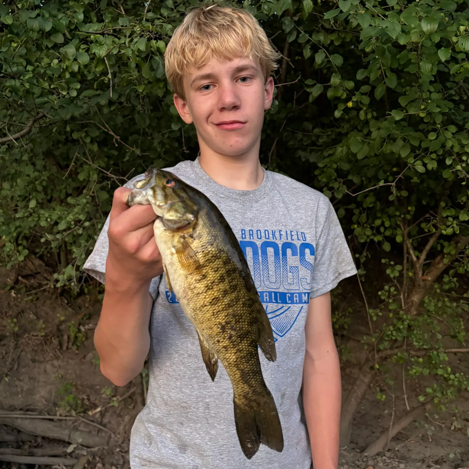 Smallmouth bass caught on Fishbrain