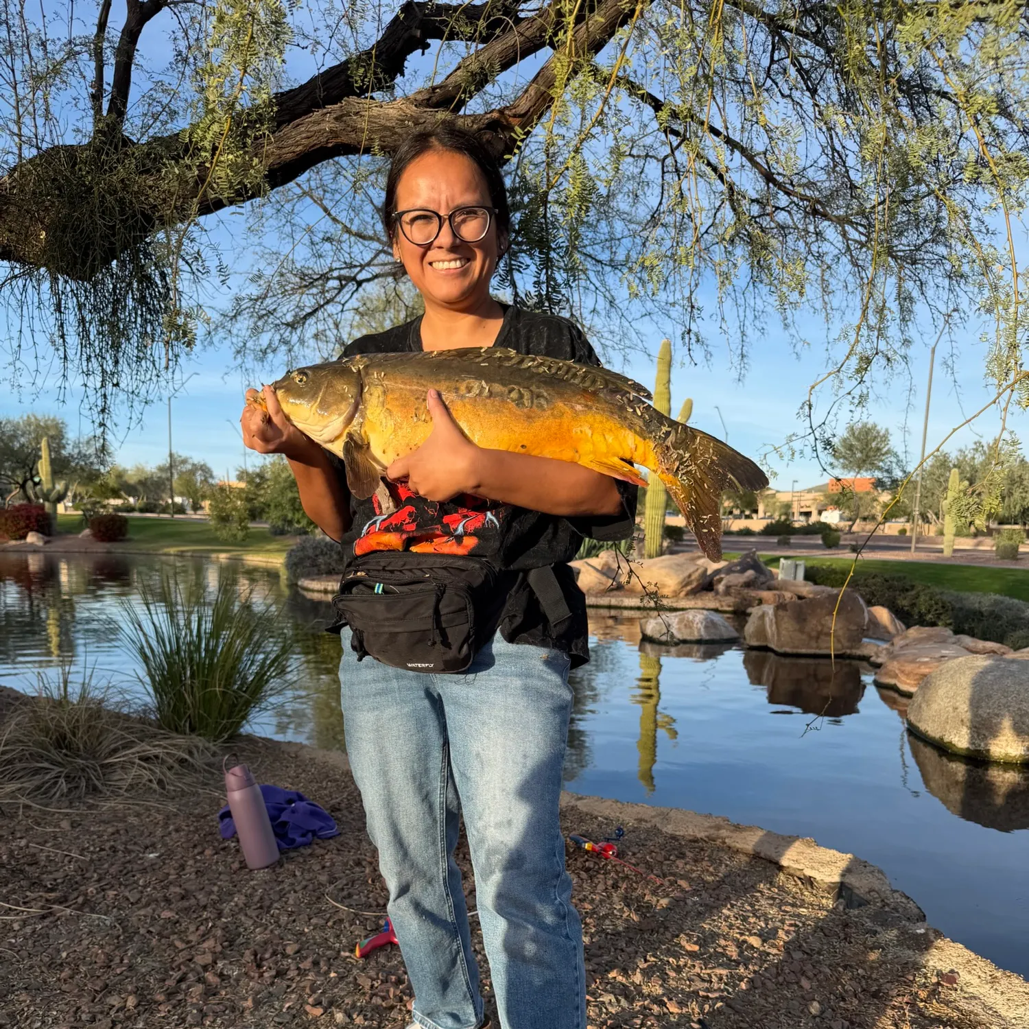 The most recent Mirror carp catches on Fishbrain