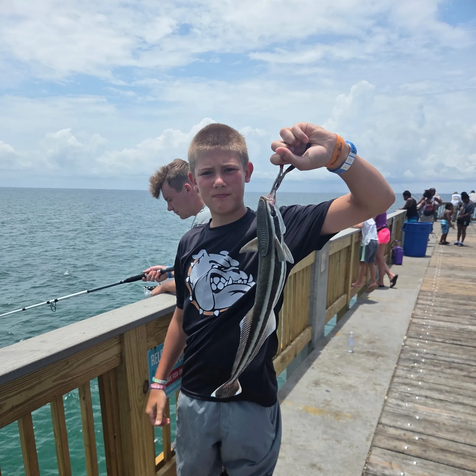 The most recent Live sharksucker catches on Fishbrain