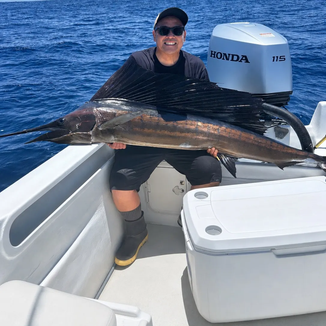 The most recent Indo-Pacific sailfish catches on Fishbrain
