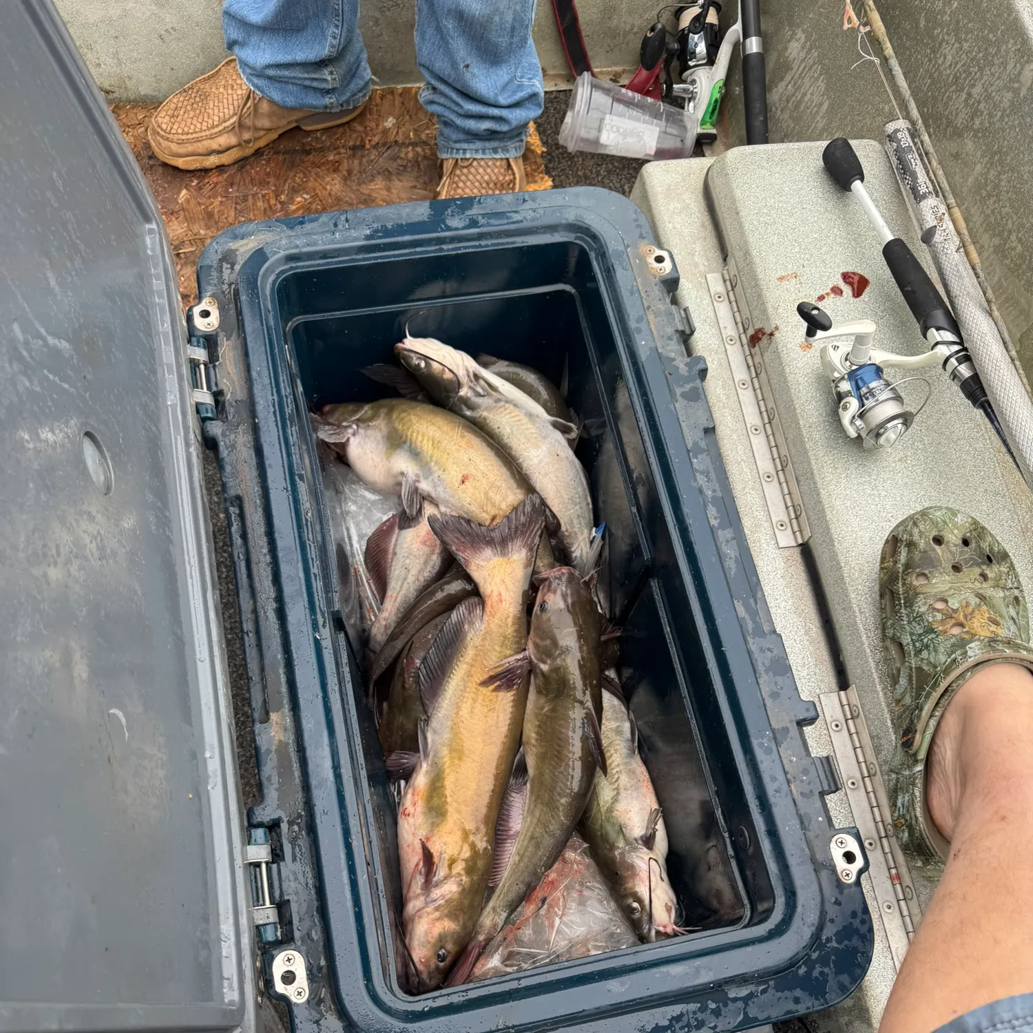 catch
