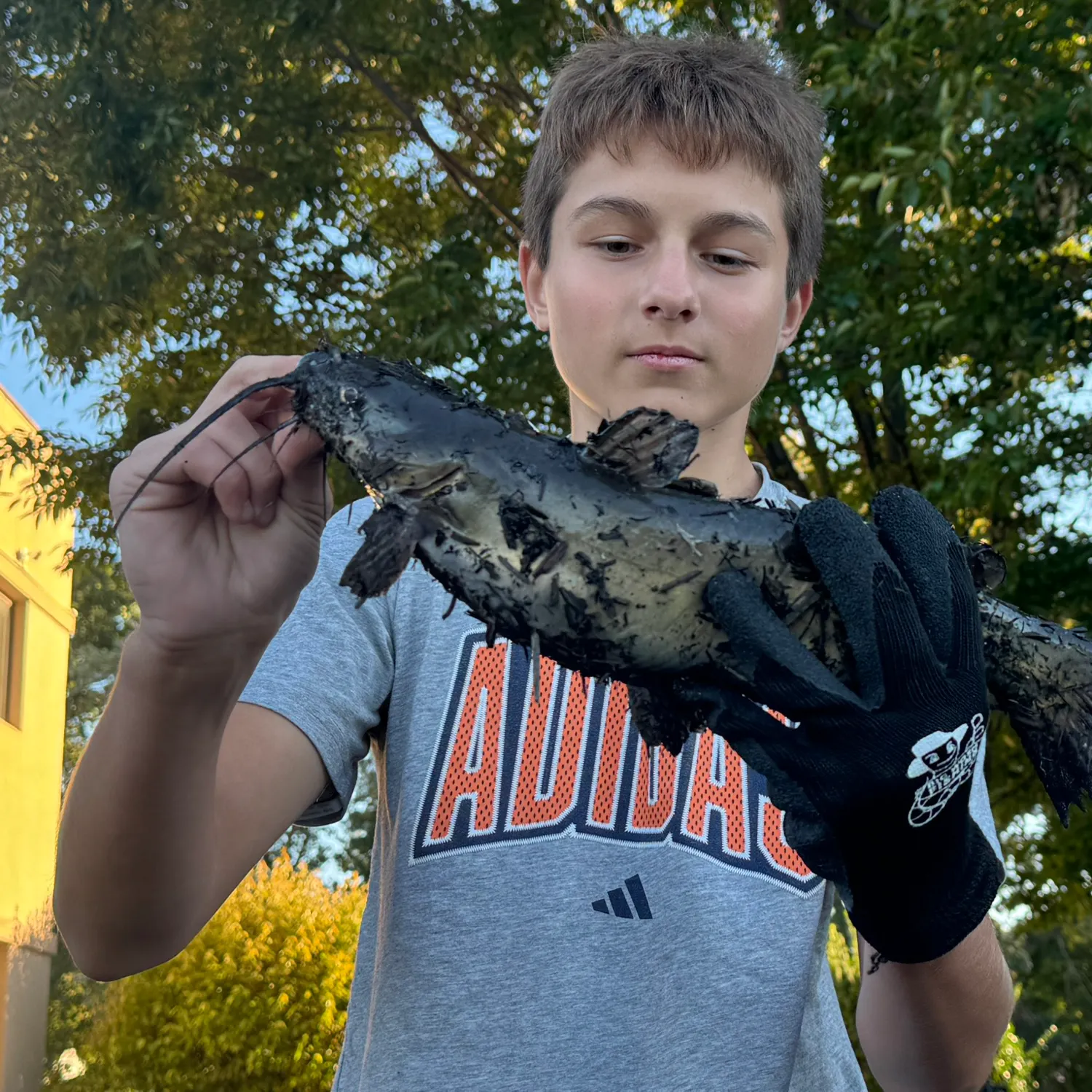Channel catfish caught on Fishbrain