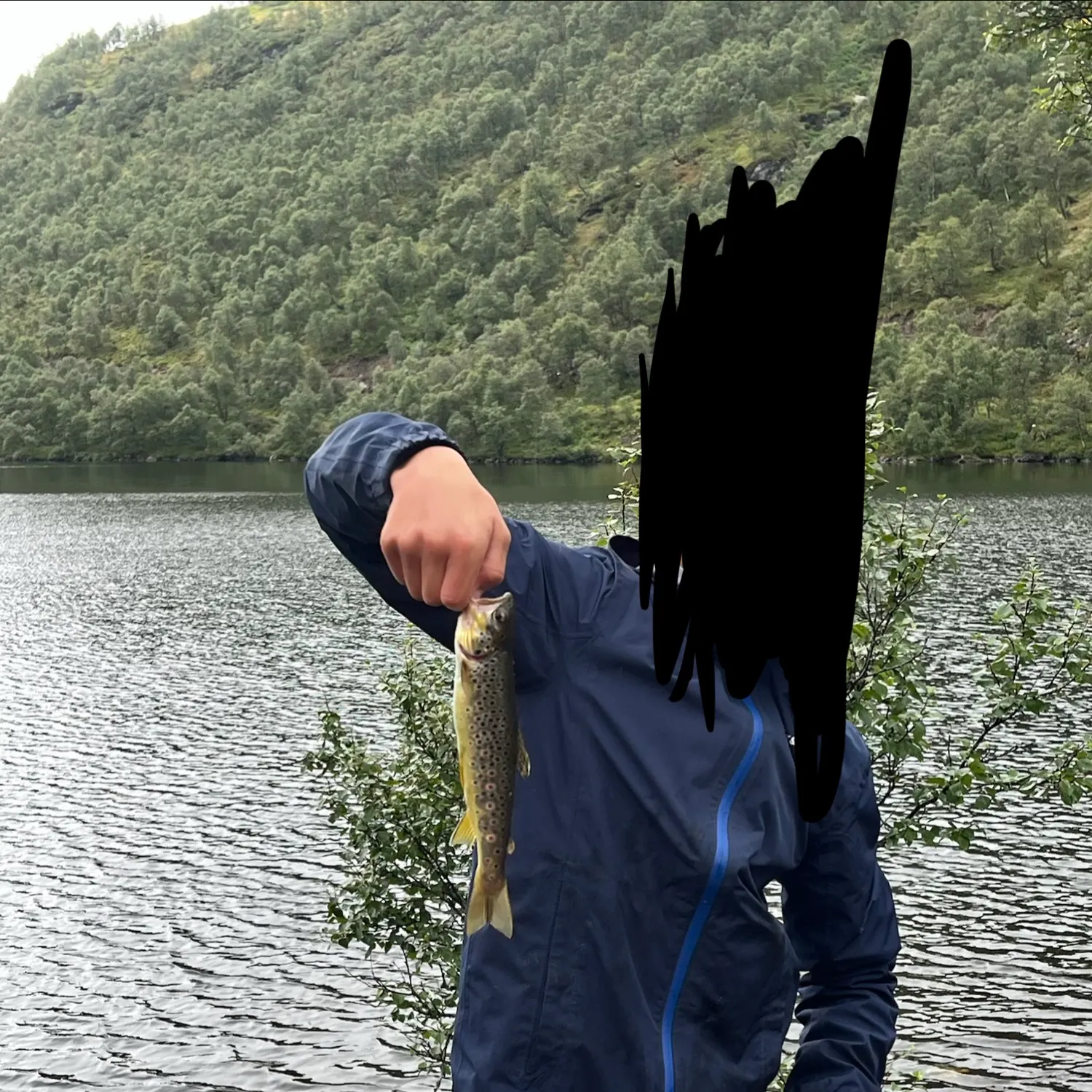 Lake trout caught on Fishbrain