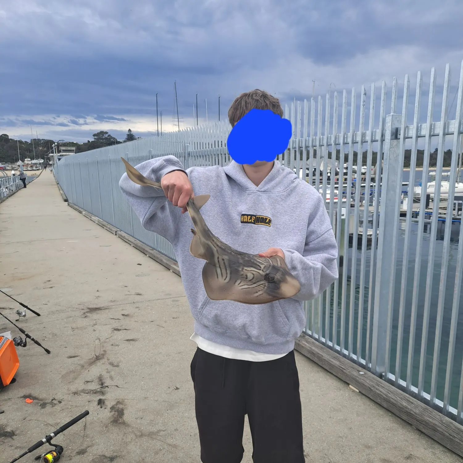 Southern calamari caught on Fishbrain