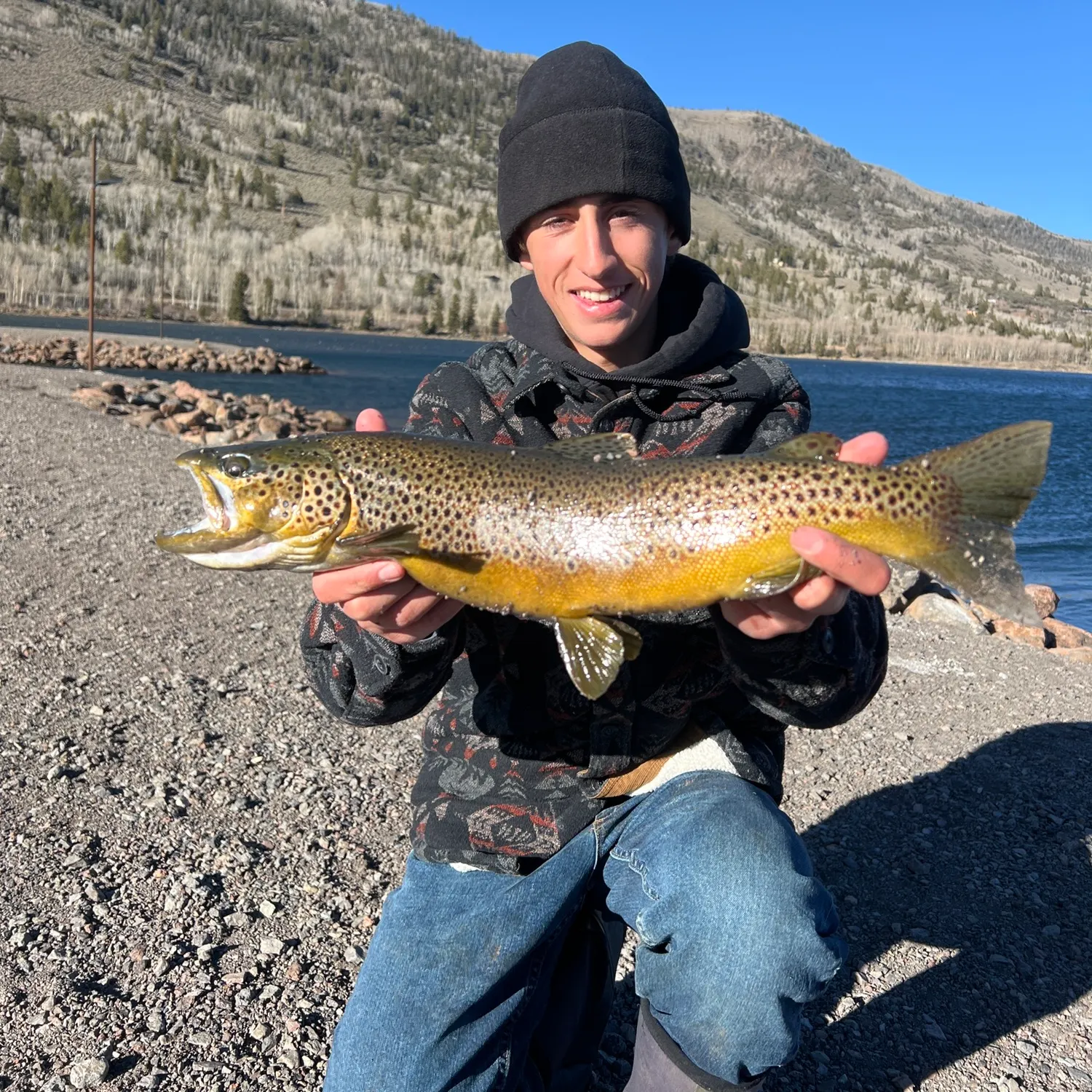 The most recent Splake catches on Fishbrain