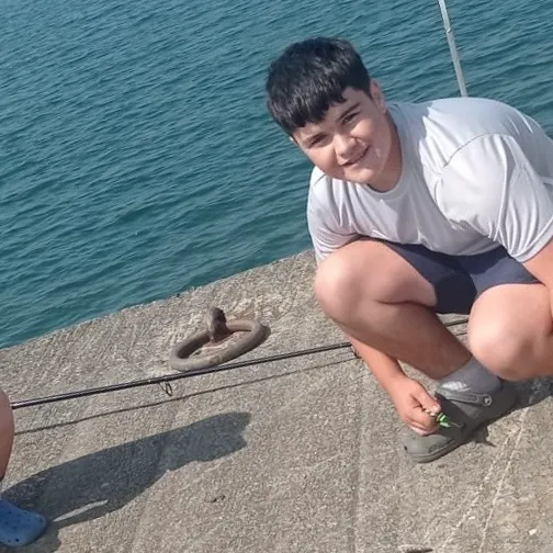 The most recent European conger catches on Fishbrain