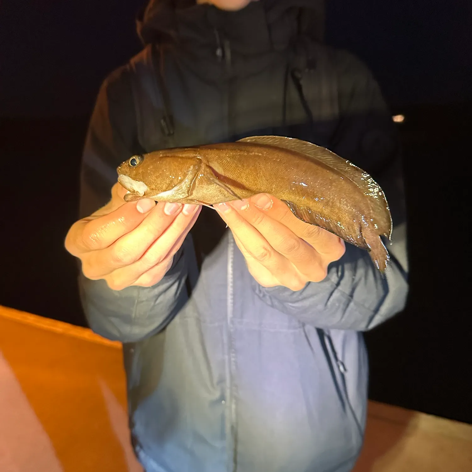 Tadpole fish caught on Fishbrain