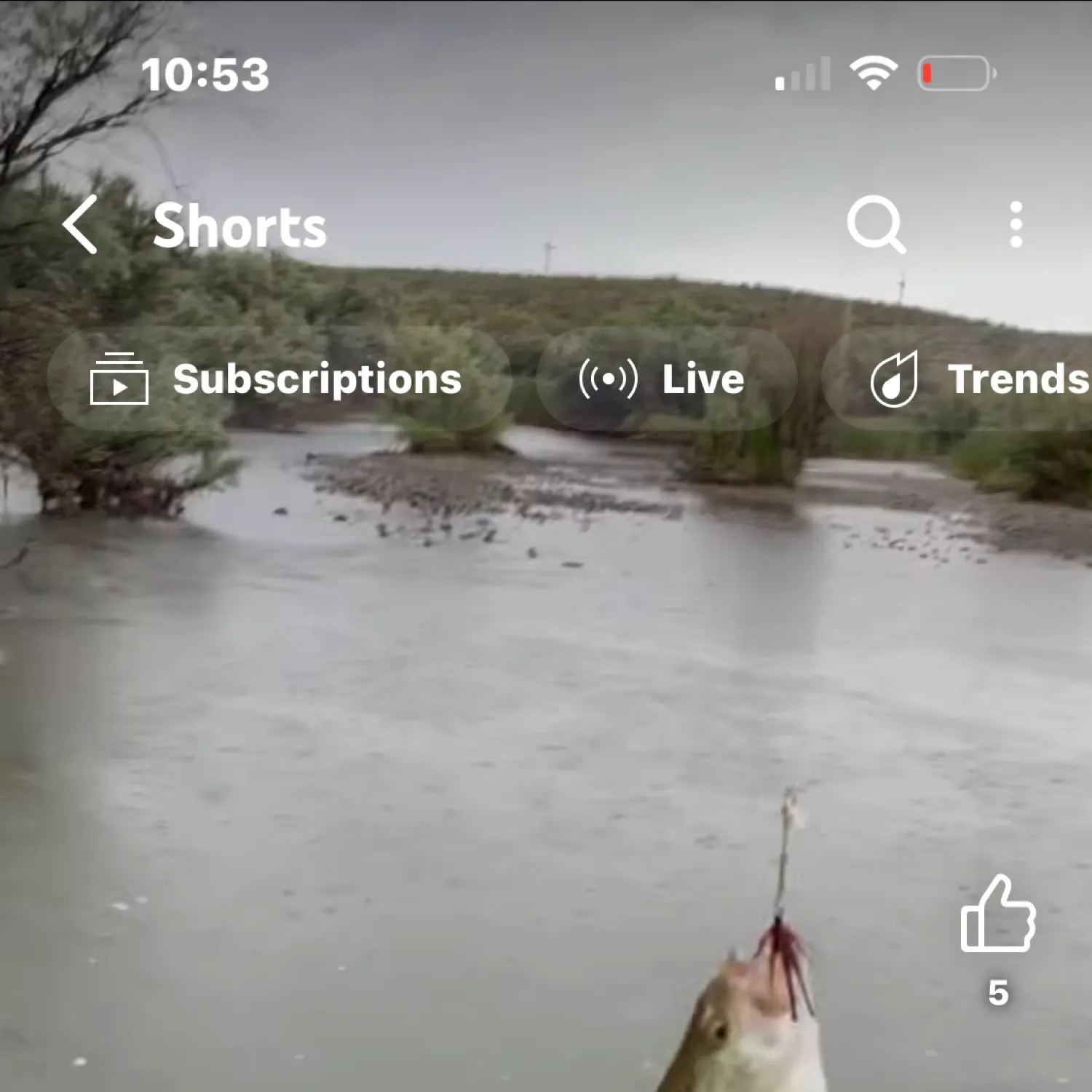 recently logged catches