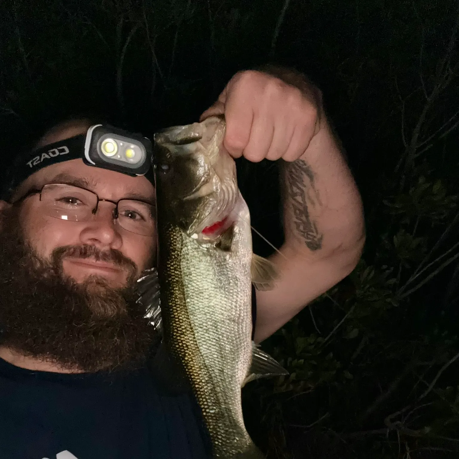 The most recent Florida bass catches on Fishbrain