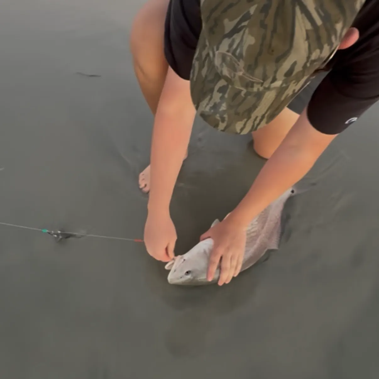 Red drum caught on Fishbrain