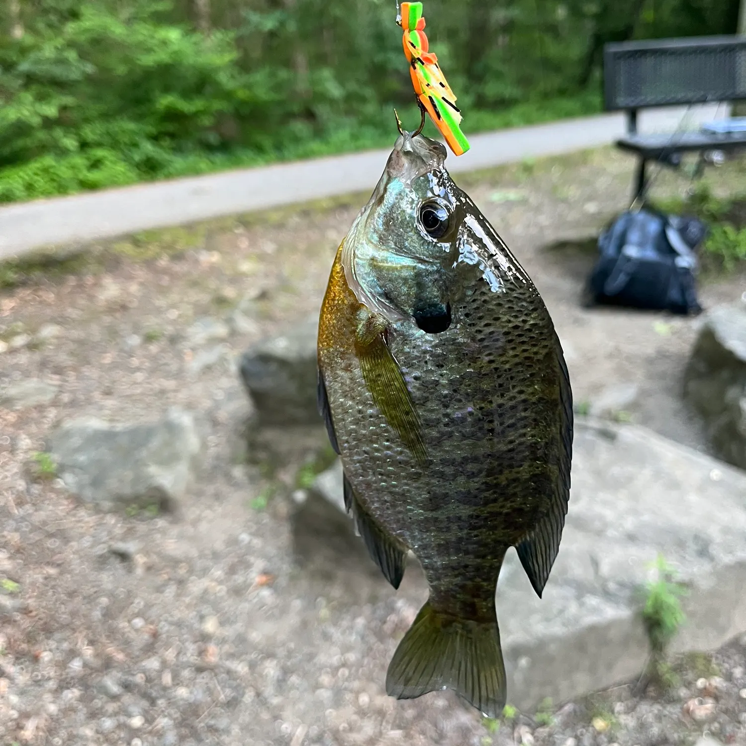 catch
