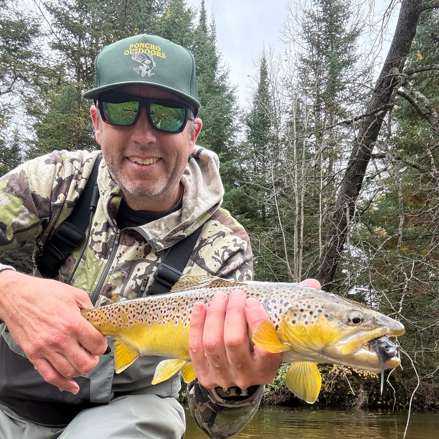 Brown trout caught on Fishbrain