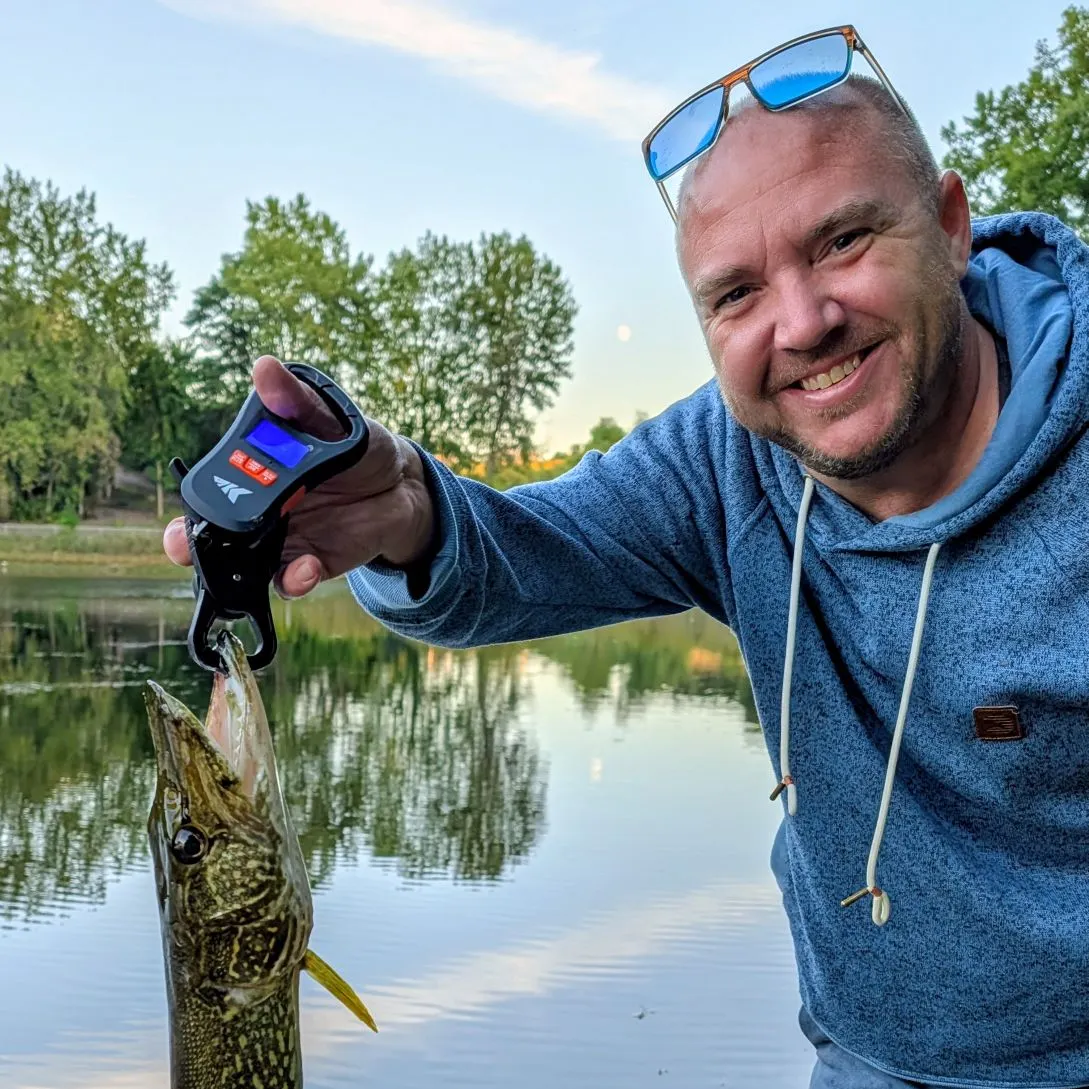 Northern pike caught on Fishbrain