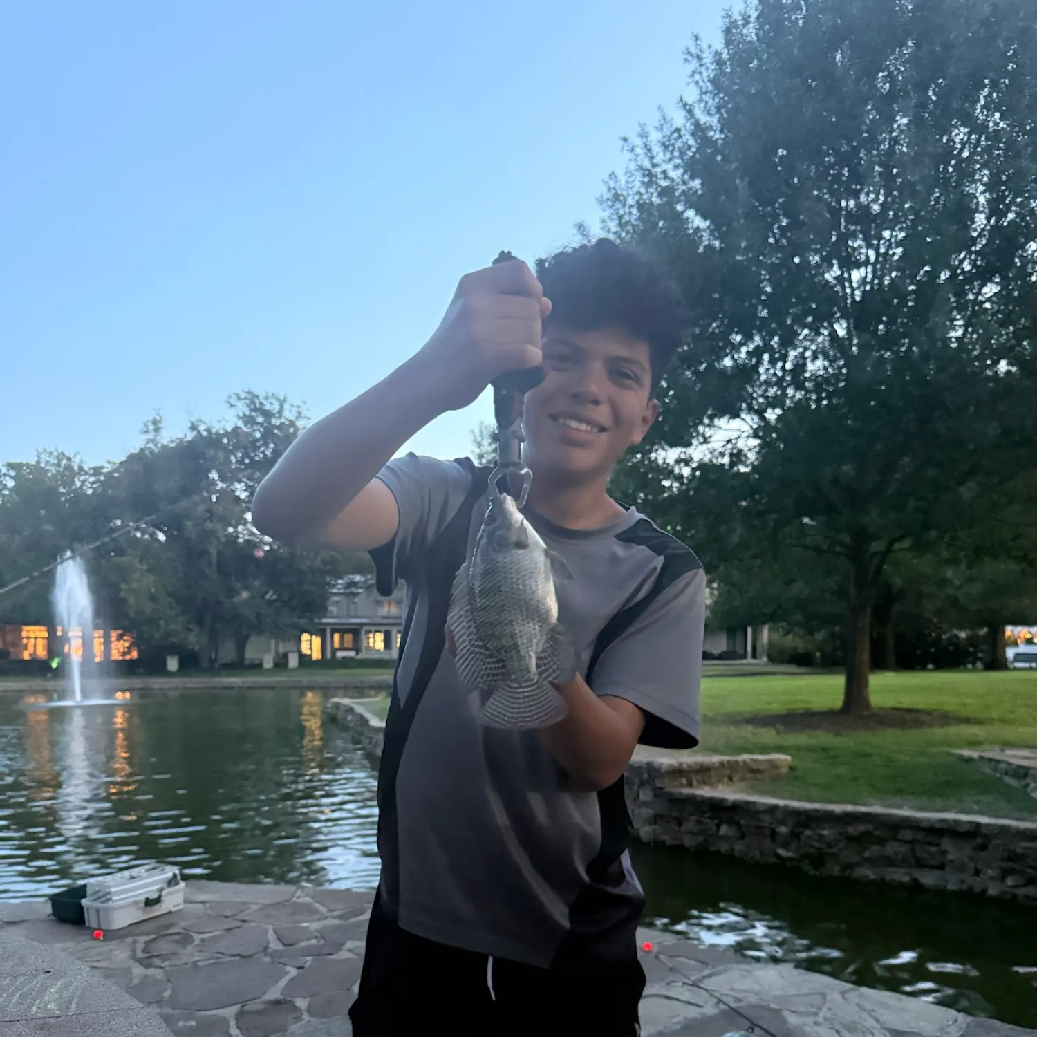 Nile tilapia caught on Fishbrain