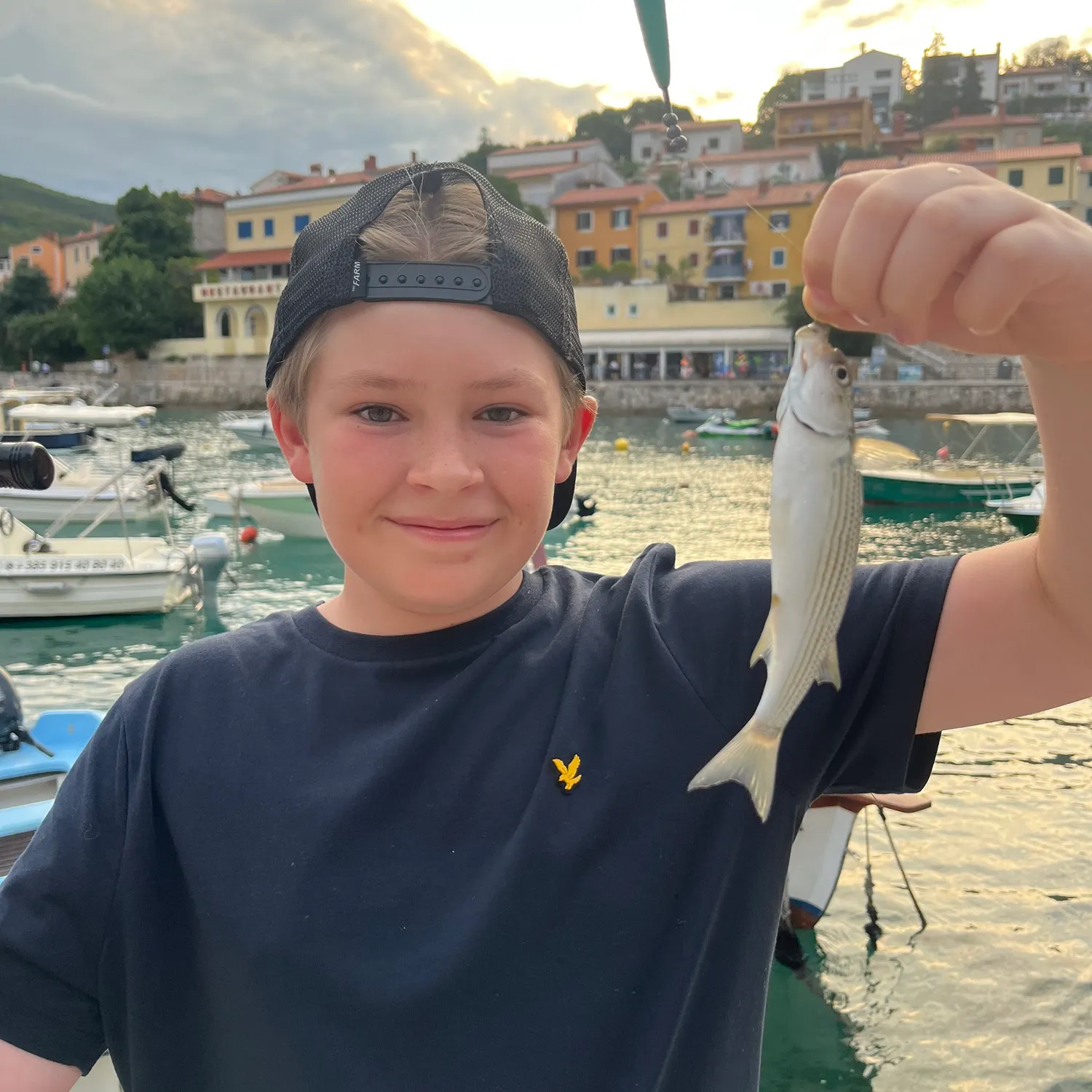 The most recent Thinlip grey mullet catches on Fishbrain