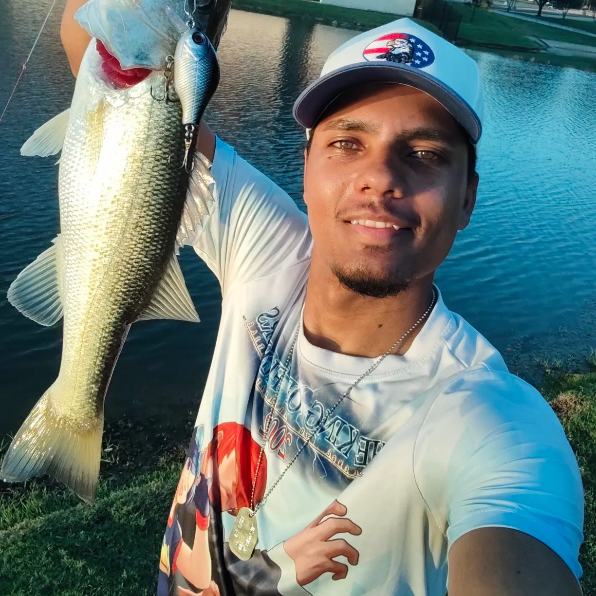 Largemouth bass caught on Fishbrain