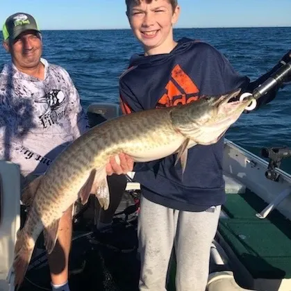 The most recent Muskellunge catches on Fishbrain