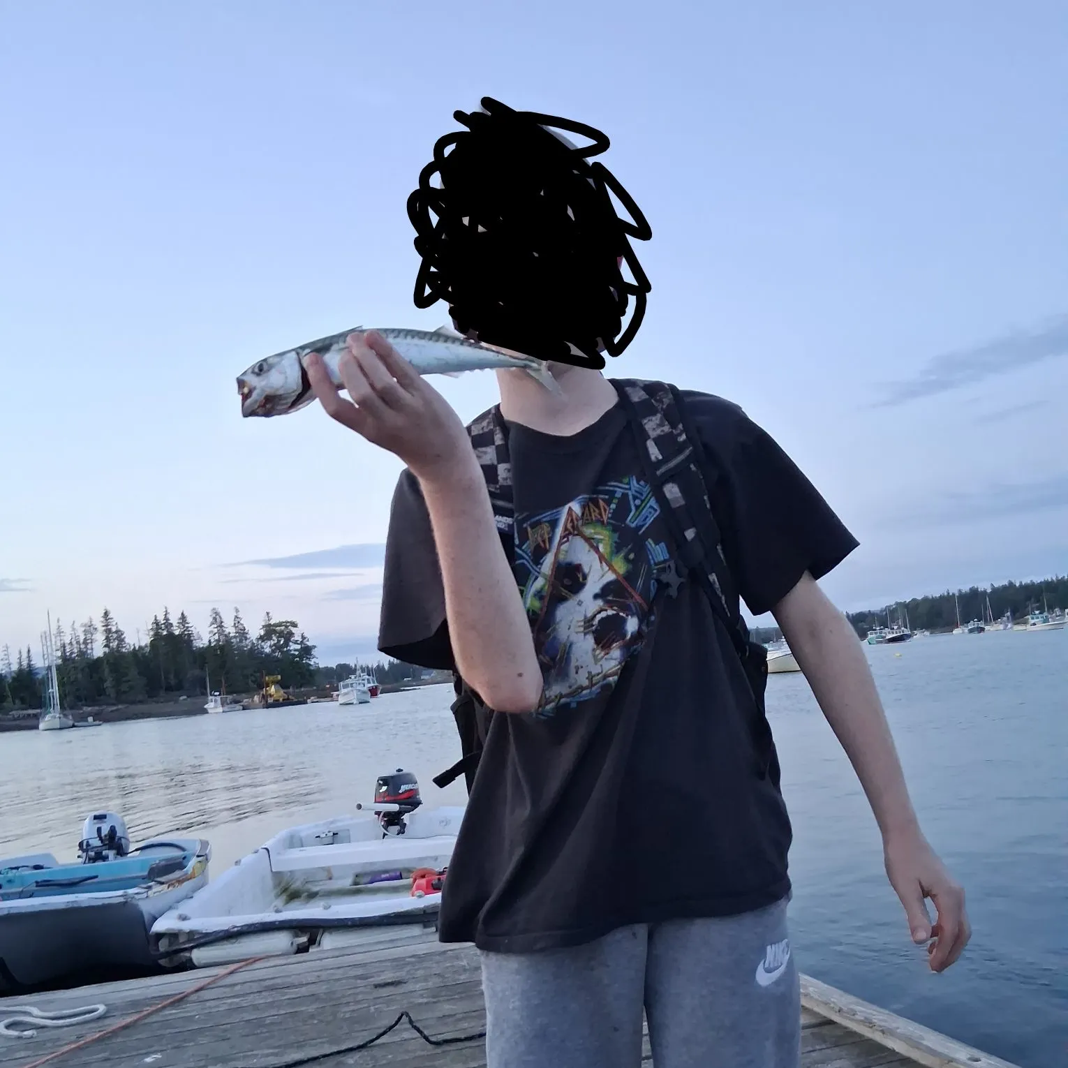 Atlantic mackerel caught on Fishbrain