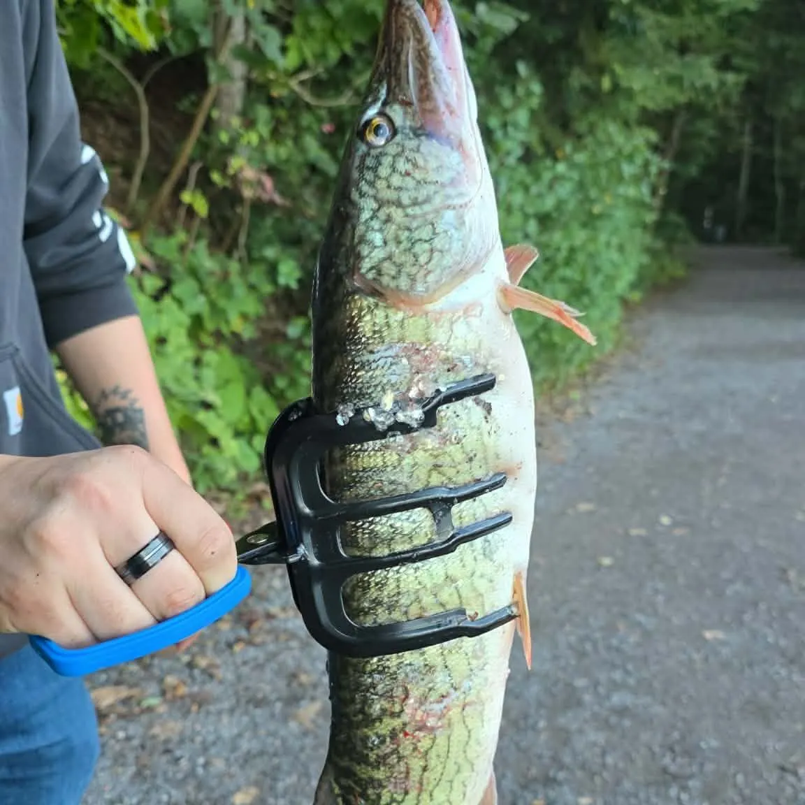 catch