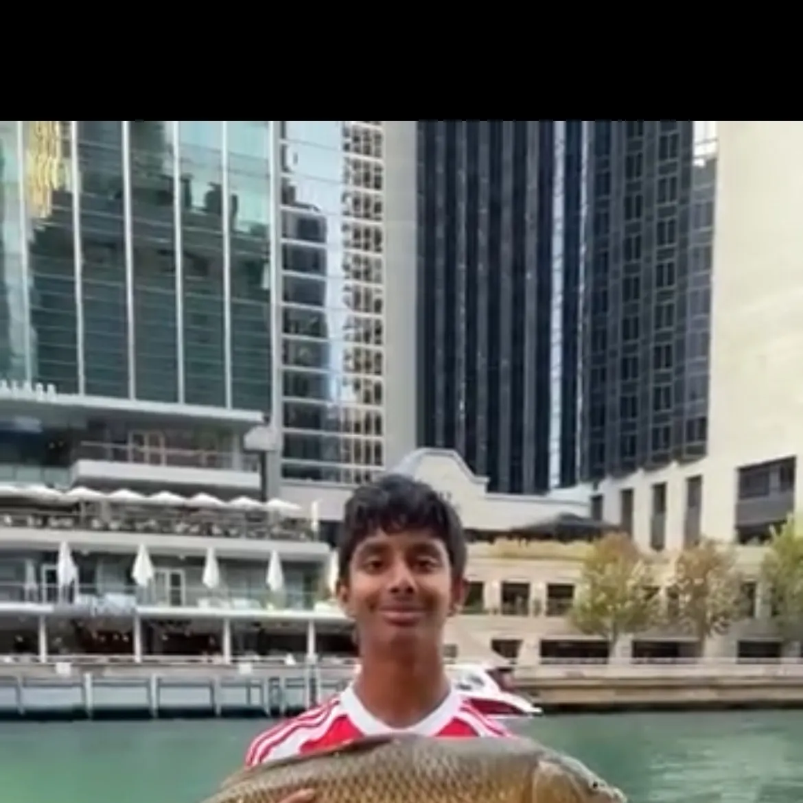 Common carp caught on Fishbrain