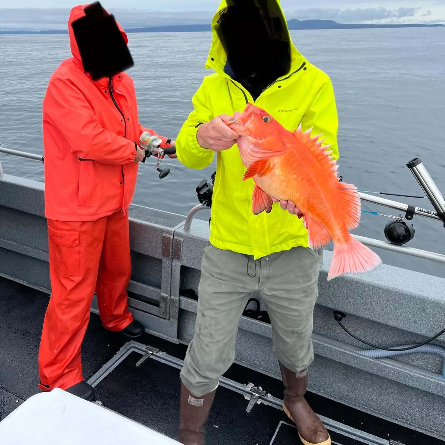 Yelloweye rockfish caught on Fishbrain