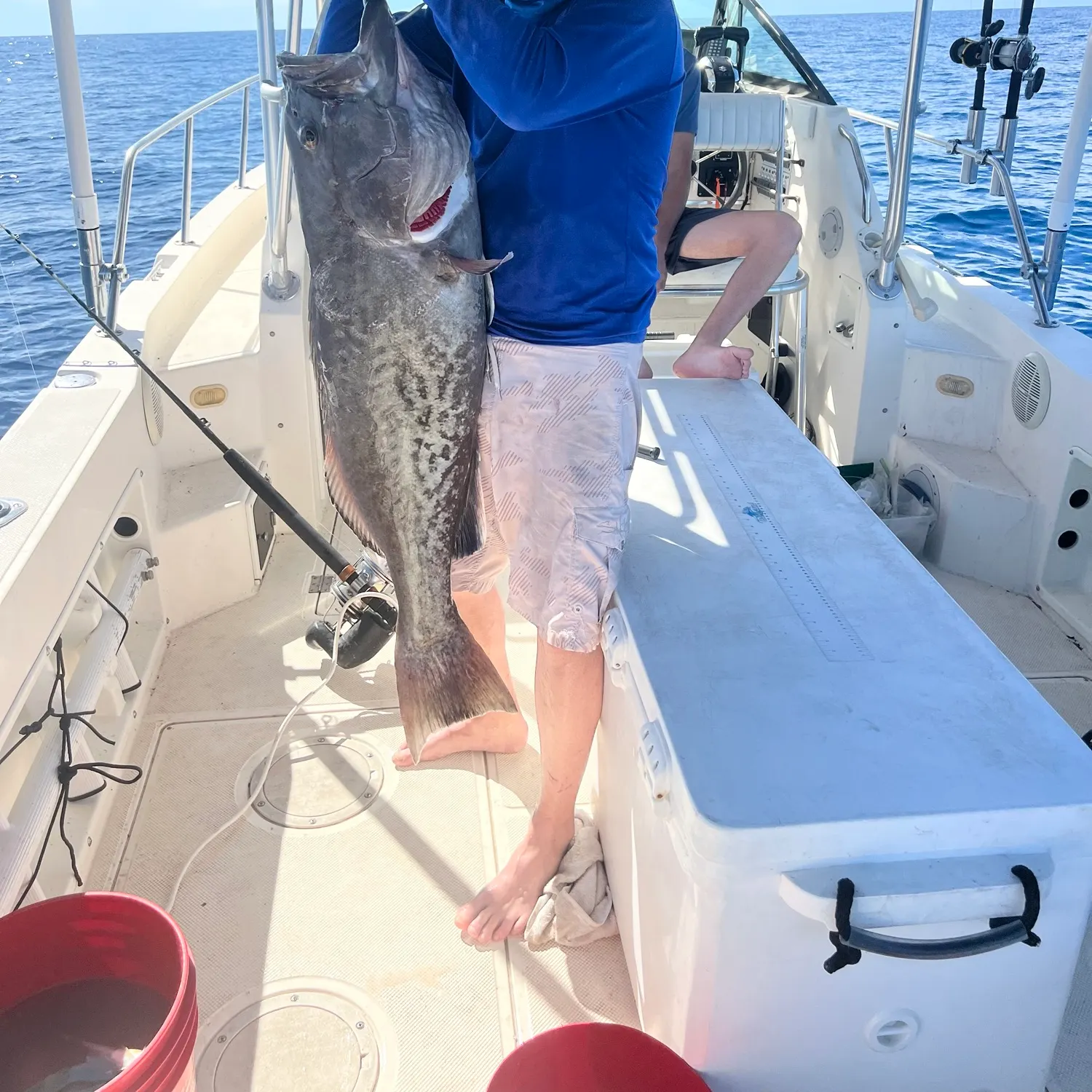 The most recent Black grouper catches on Fishbrain