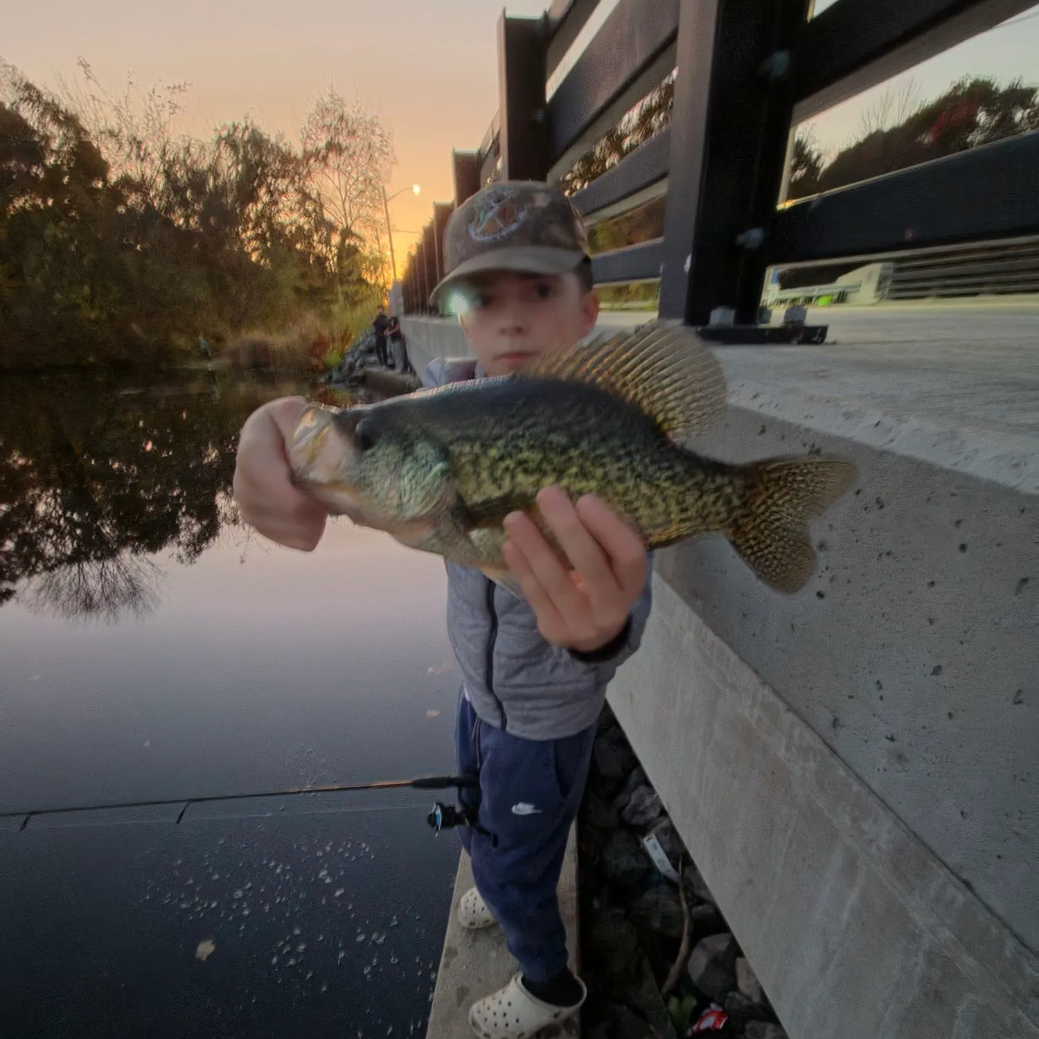 Black crappie caught on Fishbrain