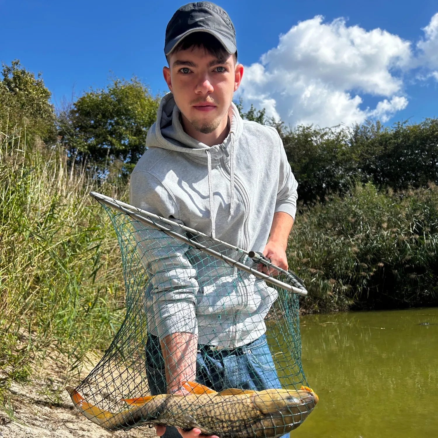 Common carp caught on Fishbrain