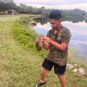 The most recent Redbreast tilapia catches on Fishbrain