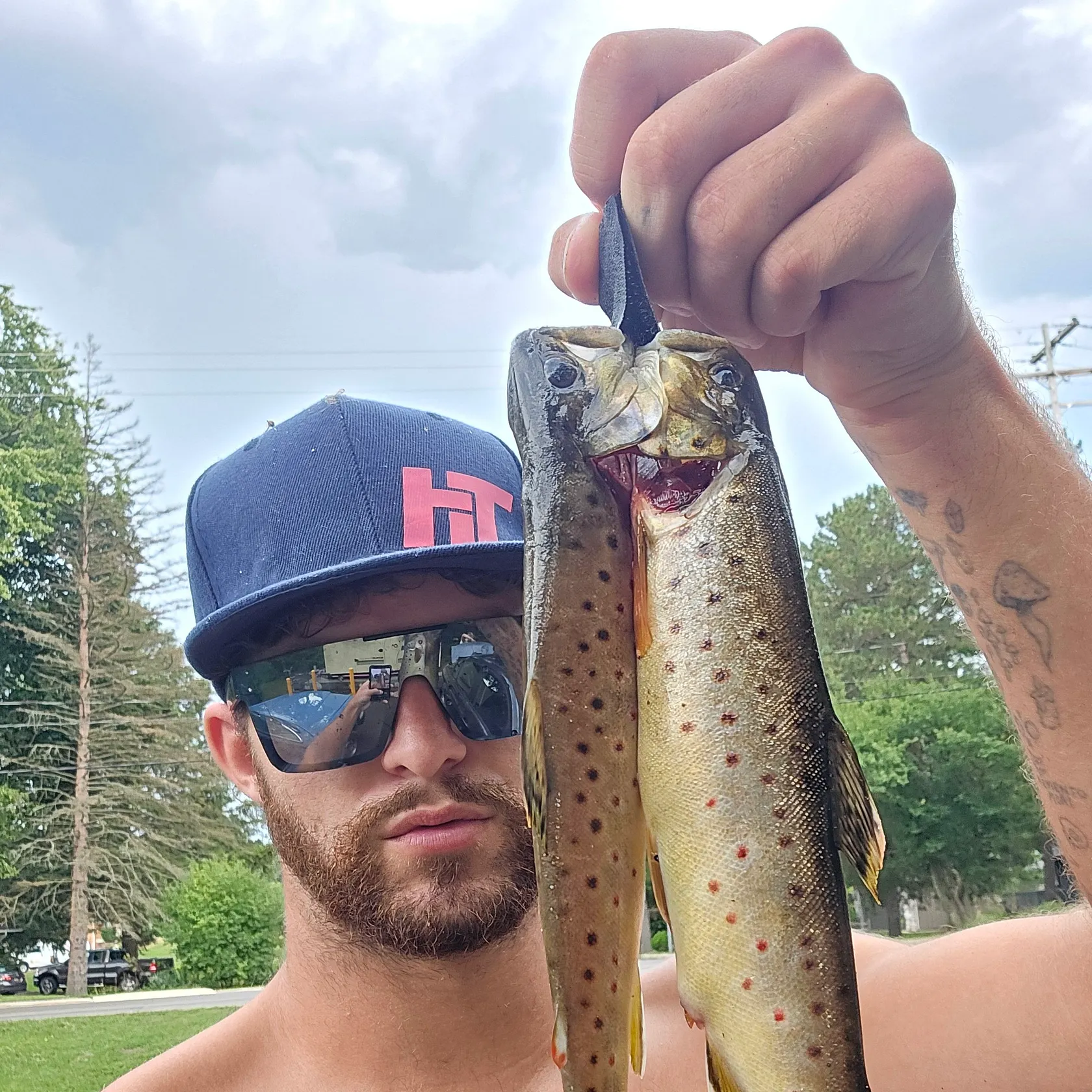 Brown trout caught on Fishbrain
