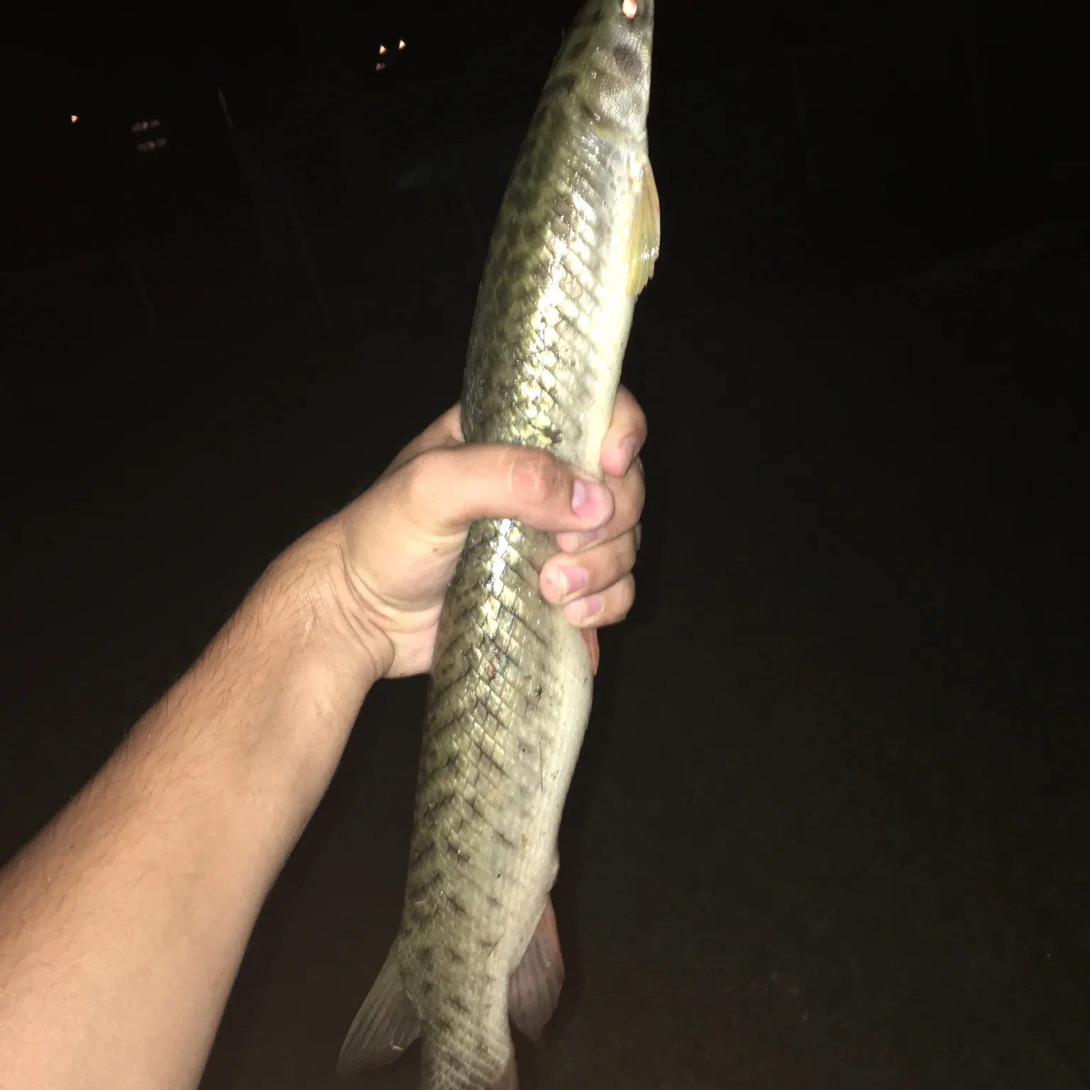 most liked catch image