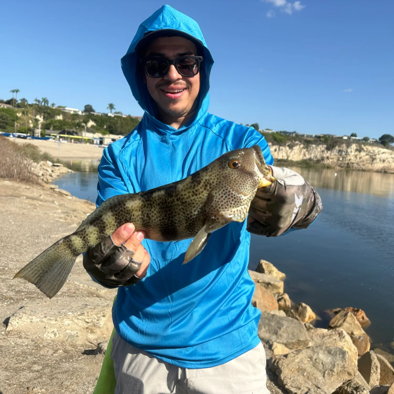 Spotted sand bass caught on Fishbrain