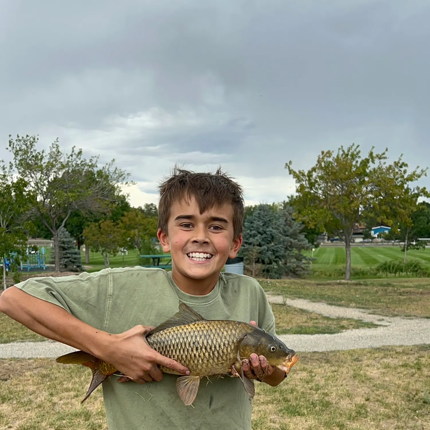 Common carp caught on Fishbrain