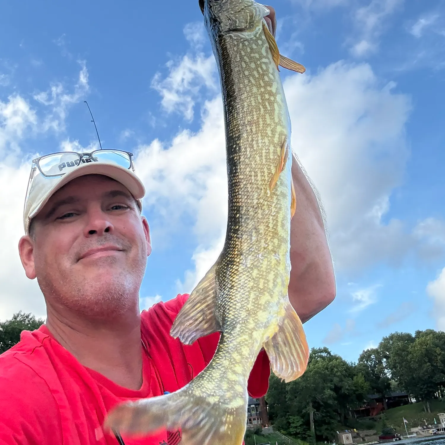 Northern pike caught on Fishbrain