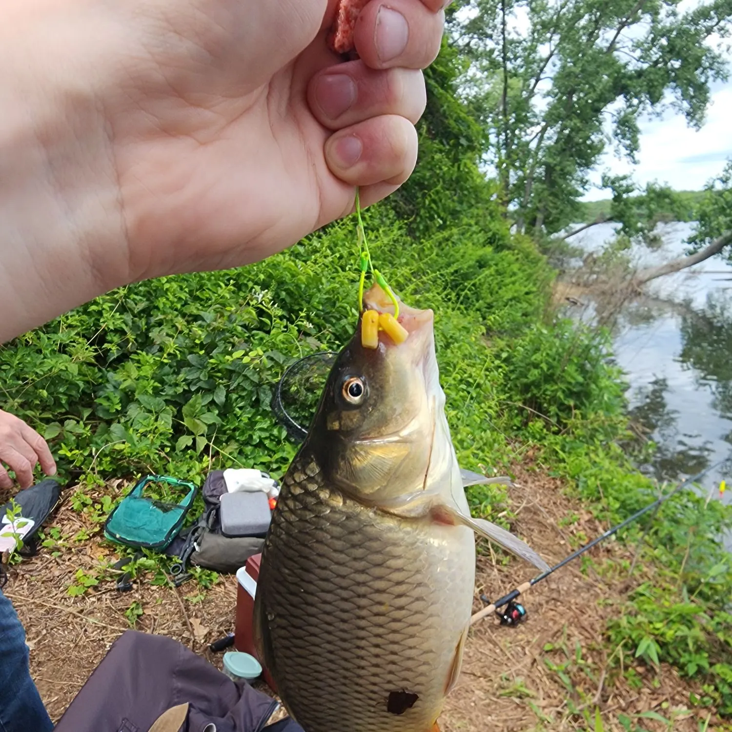 catch