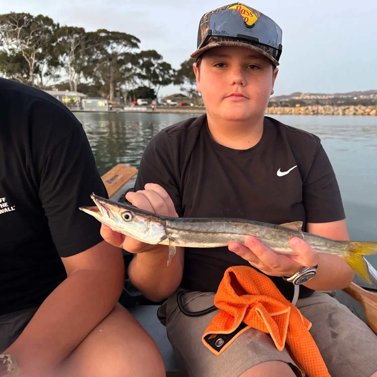 Pacific barracuda caught on Fishbrain